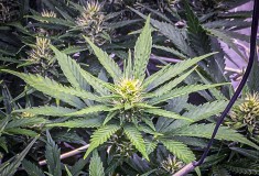 6419BF7A-B4A8-4AE2-849E-D4AF8803D8B5