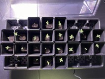 CADBD7D6-6751-47CA-8A5E-85367BE27901