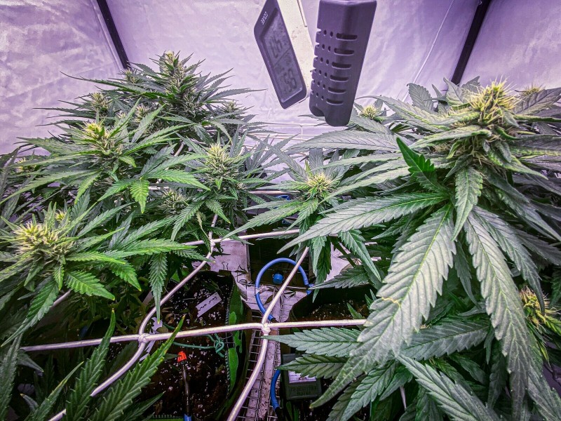 02375F79-AD90-45DF-BBD7-6EA0AAFE7078