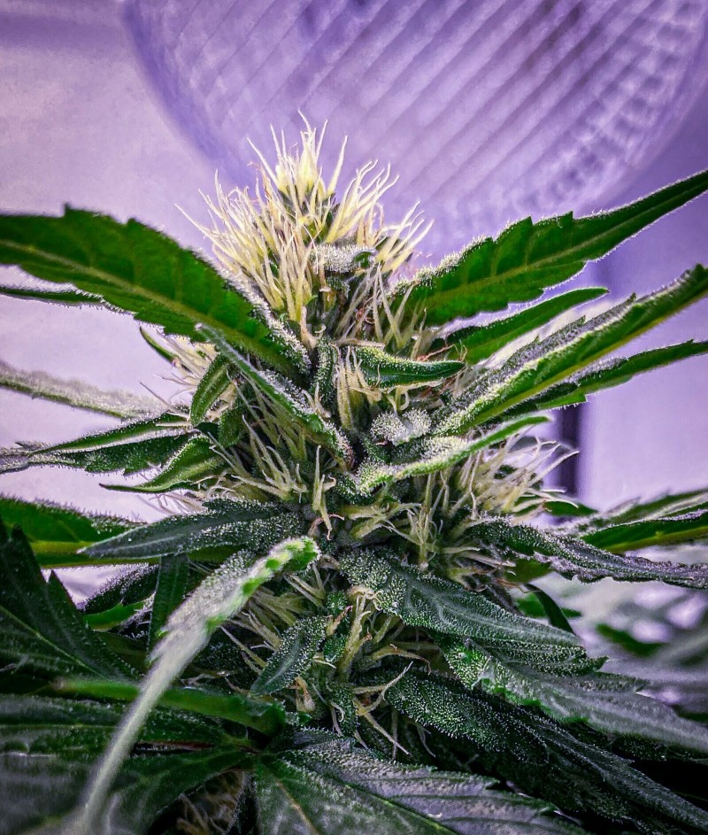 99BF1A5A-249C-46FA-A4B6-D5E3C4210D47