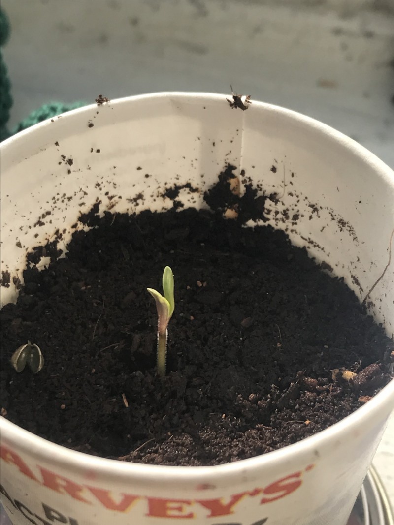 7F583D6C-1608-4B26-B7AF-6BDB21B84A60