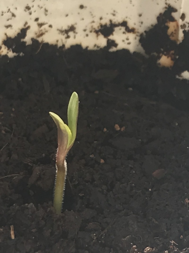 055FABC0-34BC-4005-9B1D-C7B459BD6370