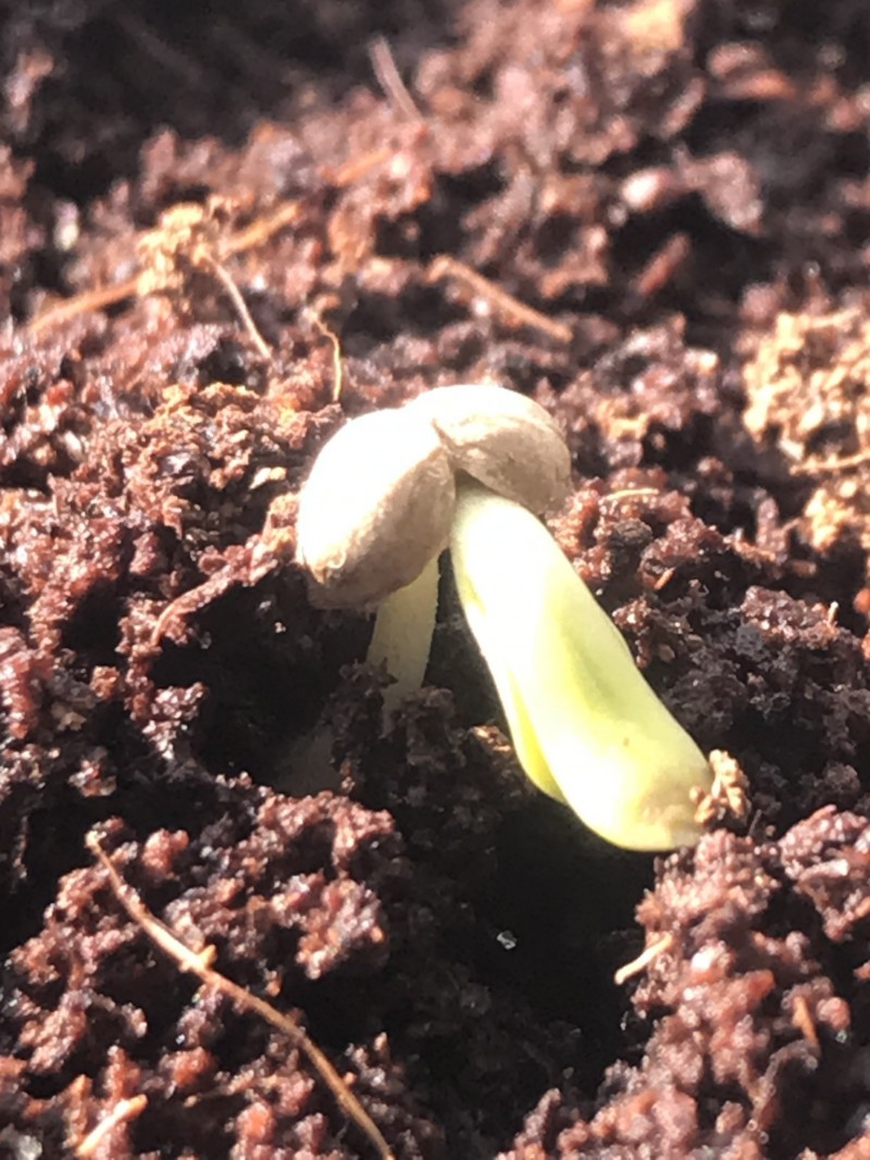 E8965536-9224-4D20-8C4A-1BDB7CE0B3A6