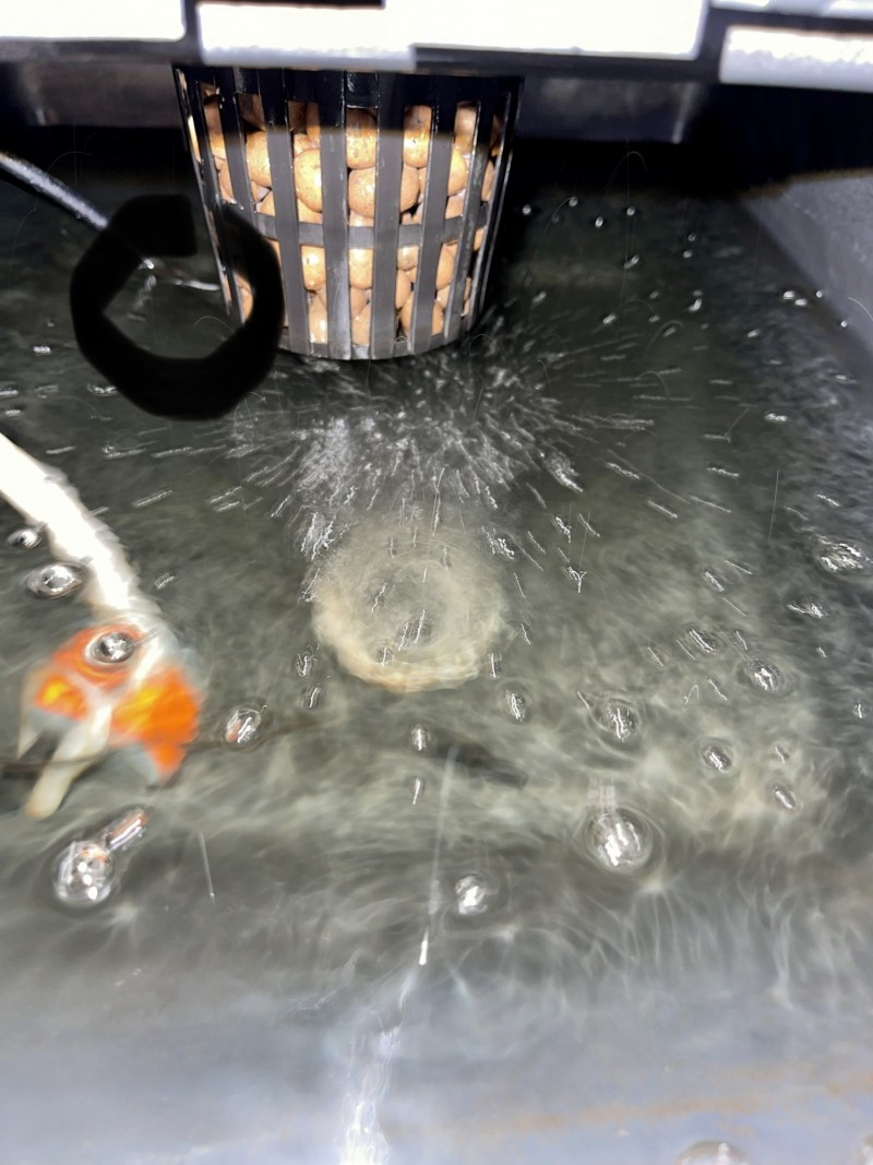 5B954DD6-E508-41FA-812A-8BD0627BA999