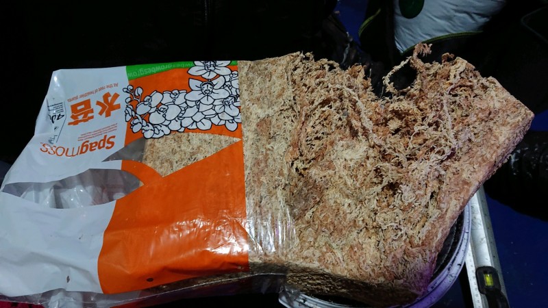 obscura1625938587986