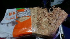 obscura1625938587986