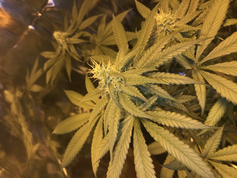 429EACED-75A4-4556-8FF1-0802341063CA