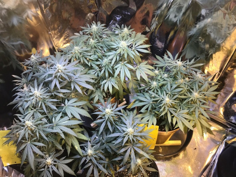 11B41570-42A7-49D9-B01A-5A5D27EDE05F