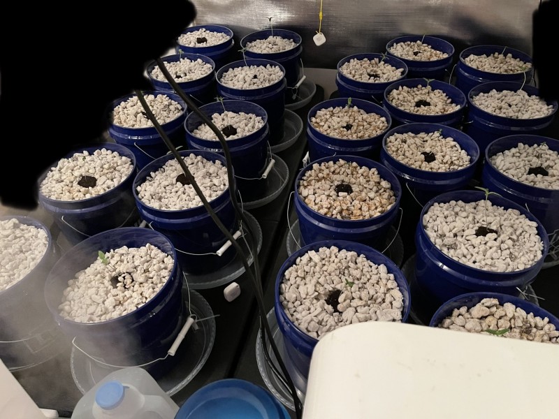 4D497911-2D19-4608-8810-CE2111C18627