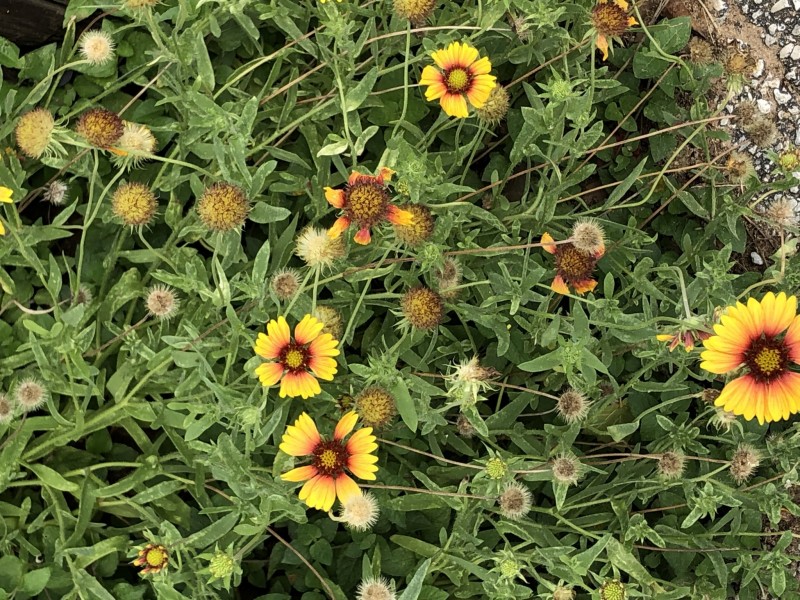 3F8972C6-6AEF-4233-B6B1-49F240A18B93