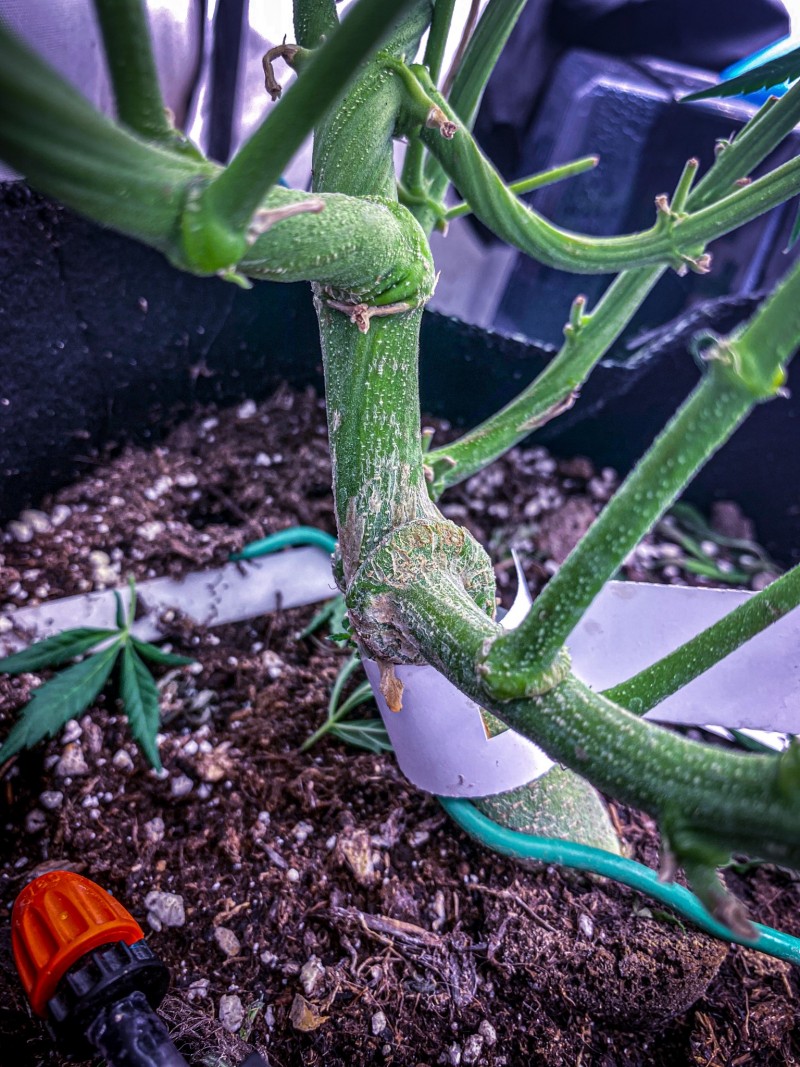 97883626-8A4D-4C6F-9A2F-8263DF5B7447