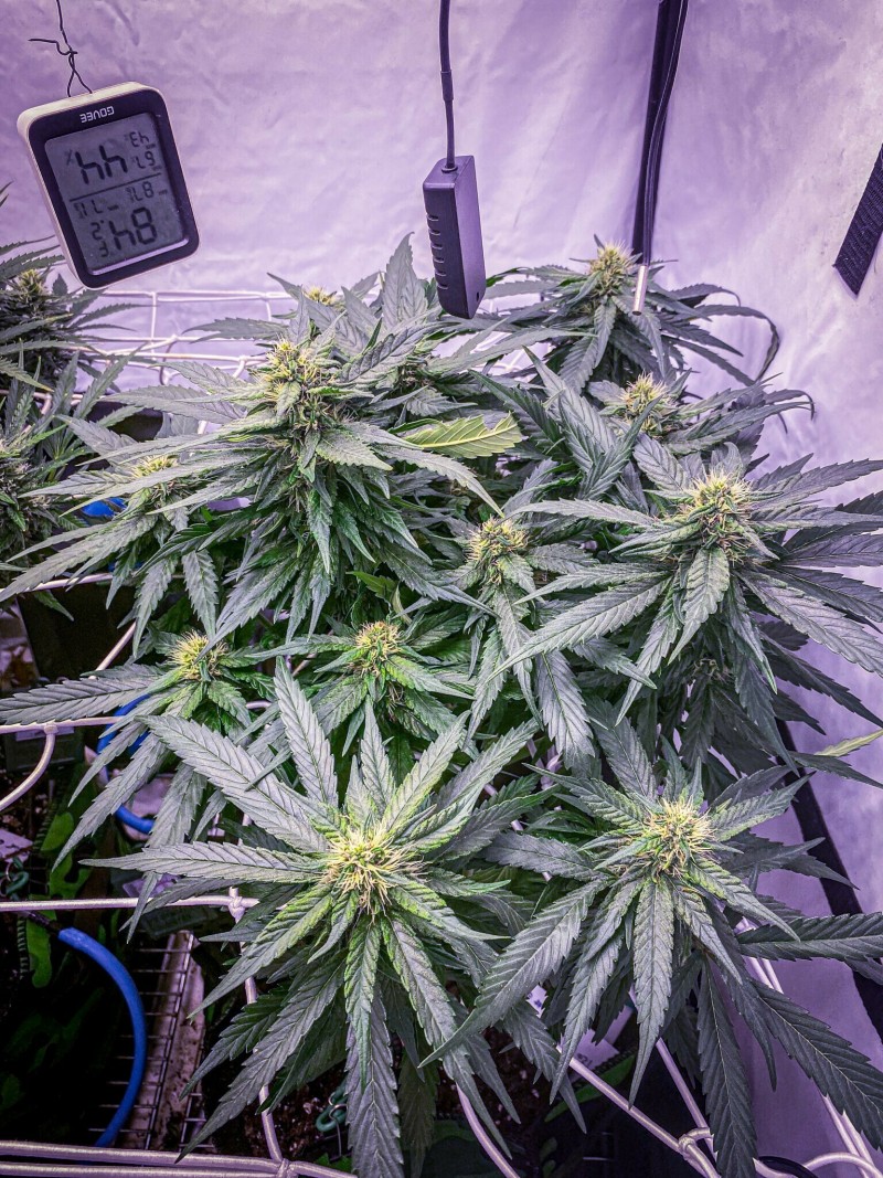 E181955F-9493-4229-B592-E4DDB5640F2A