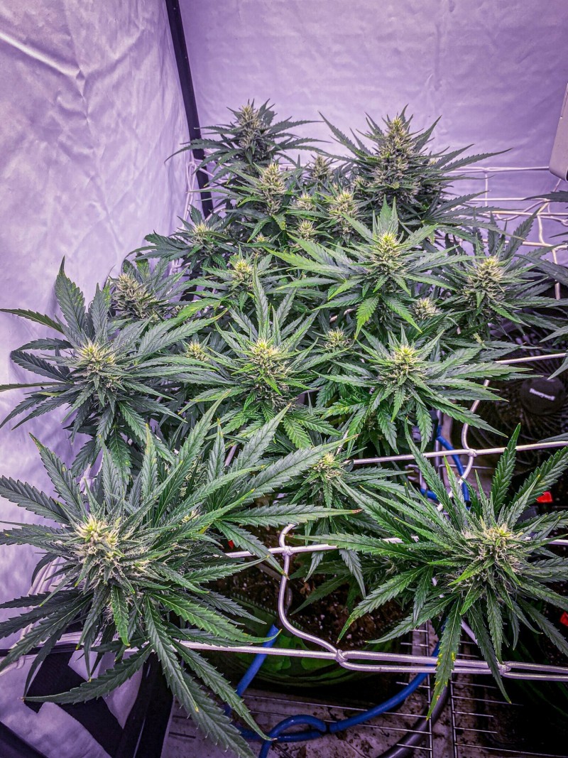 2B793C76-C62C-4764-A0FA-0F4EDB88B4A8