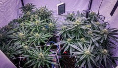 E7016D3E-37CB-4D73-9BB0-135044ECCB83