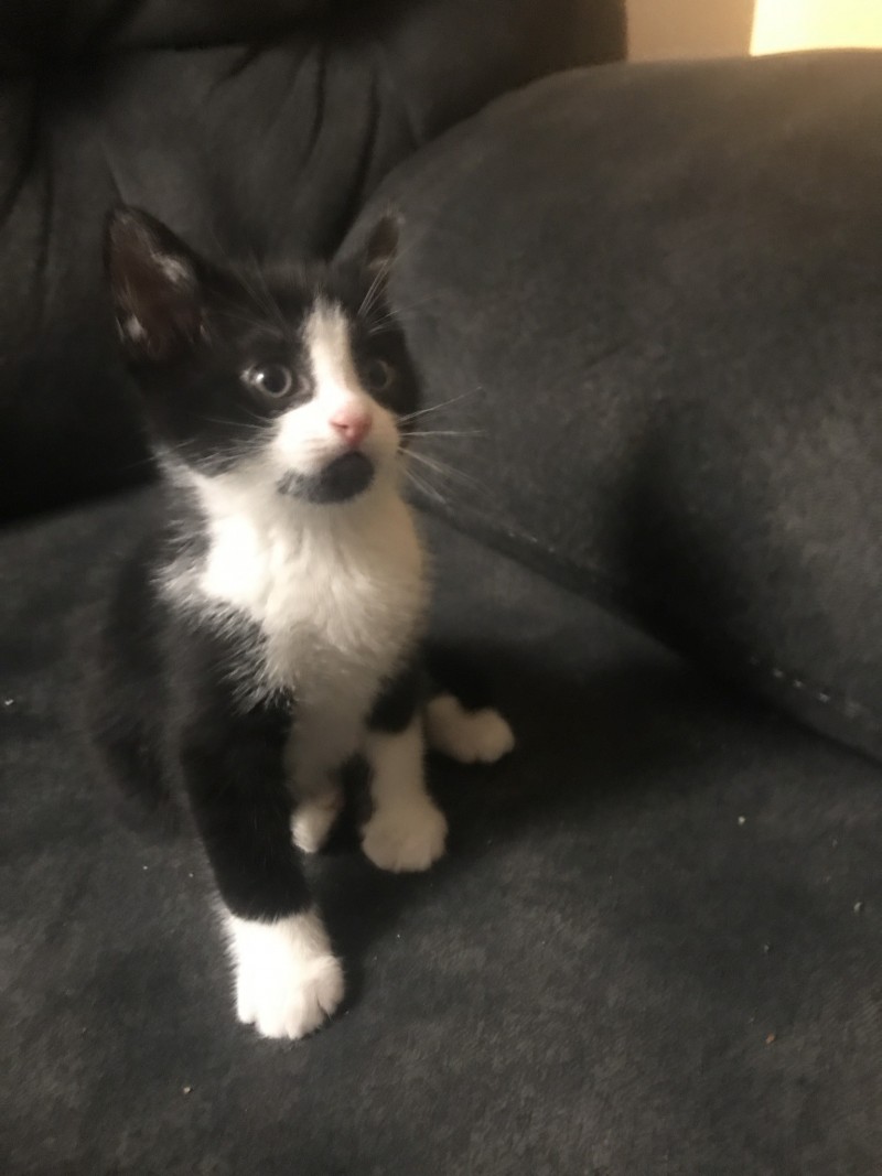 A273B0F8-AB3B-4ED9-9E15-E9D3F8CFD68B