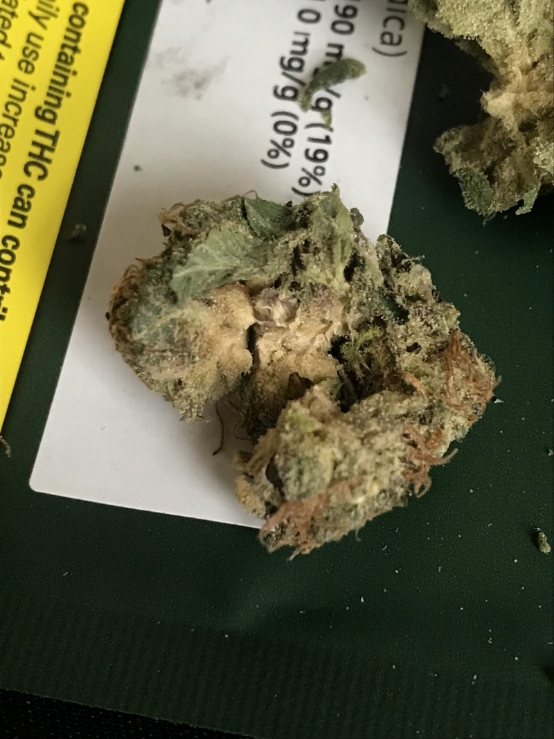 DF77B00E-EE40-4802-8788-BA3D82691F76