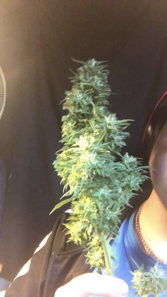 FE2E2541-85E8-4AE0-8F84-E3E7E97073F6