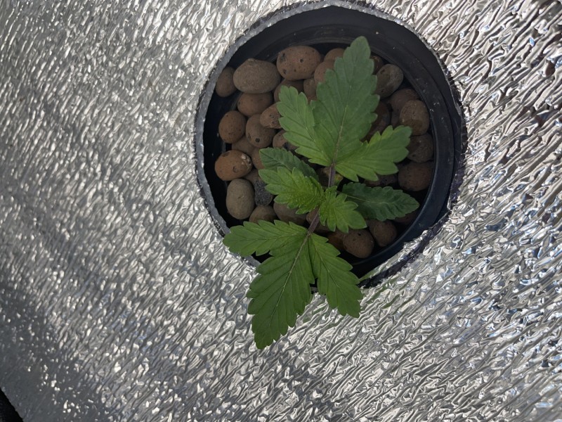 F8C4A352-BE6E-46CC-BAF3-E1CEAF742630