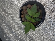 F8C4A352-BE6E-46CC-BAF3-E1CEAF742630