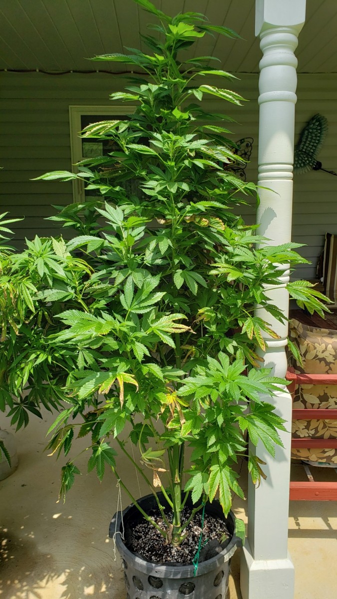 16263726273021158736735553962712