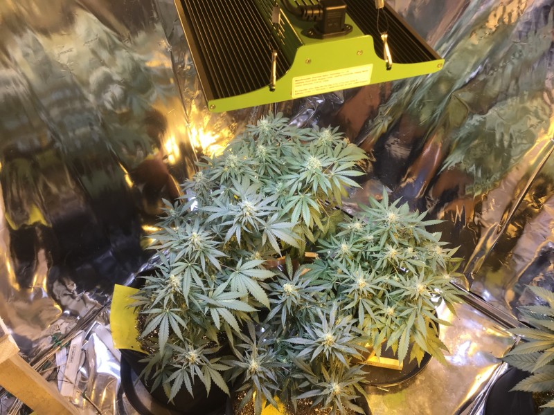 26D20D76-AAD2-4925-9321-0670215819F4