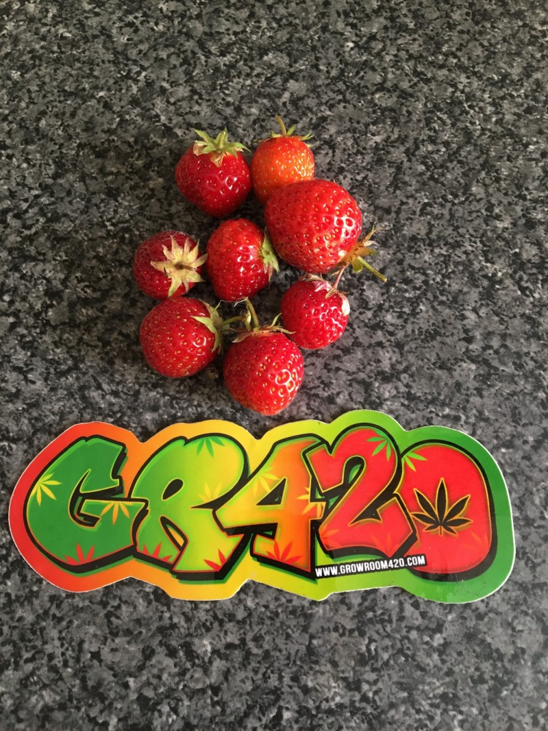 38155717-FD1C-442B-9990-A770F734F4A0