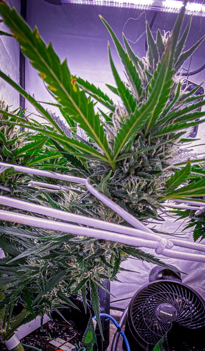 87F781B9-40D1-4298-AA12-89C8AB07B0F6