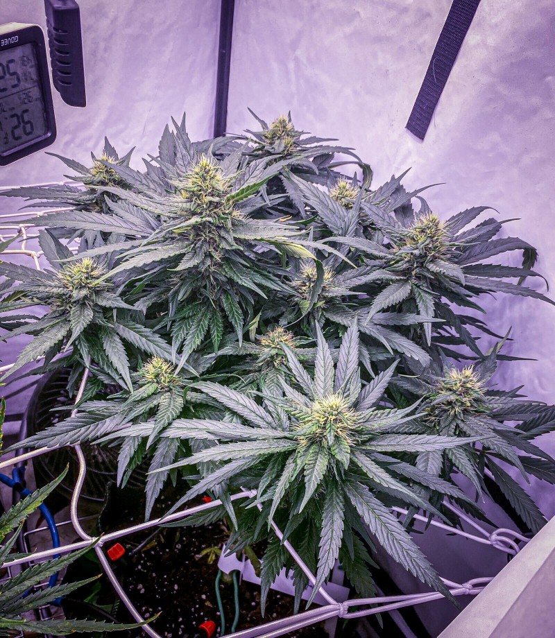 548D7BFF-C132-4596-9A66-CB61B145A813