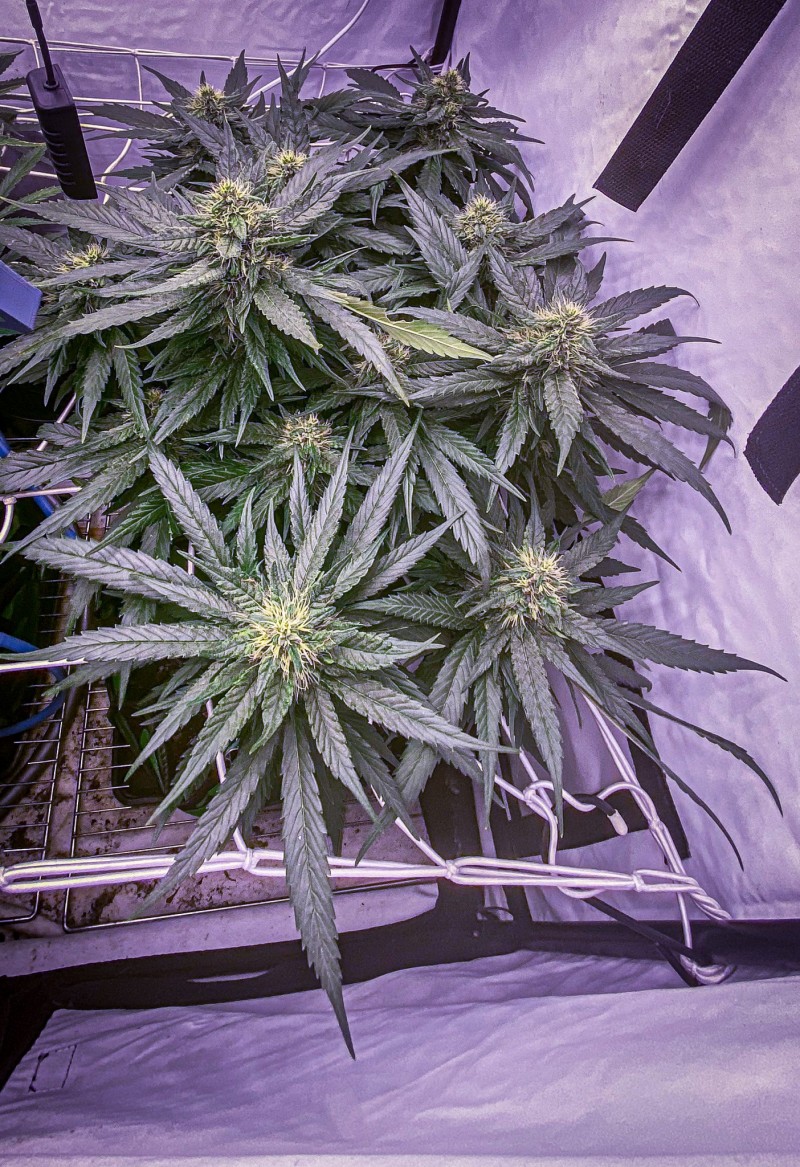 FF8C48E5-D17D-4DAB-B5DE-562FD5DAFD39