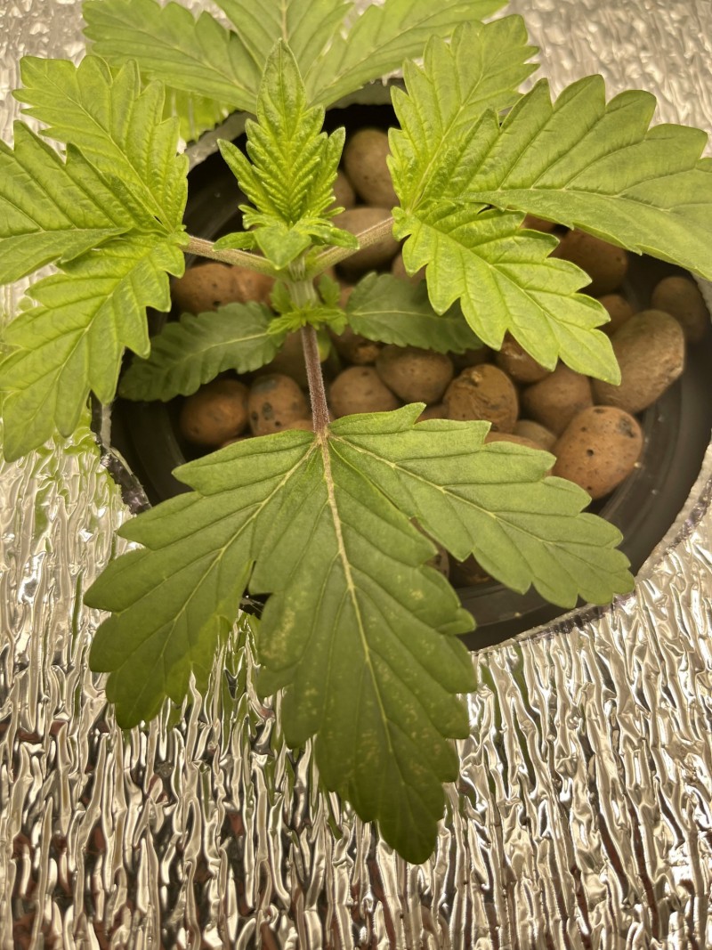 E6E58703-3FB9-4409-9ECD-8EABE08C93C7