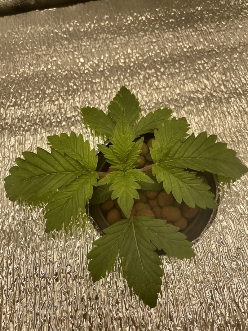 F1234ECA-0EA0-4308-9316-7198A5FA4DE7