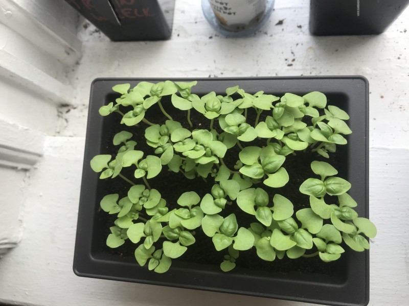 AA92209E-6F28-4A90-8C21-E35296EF2E03