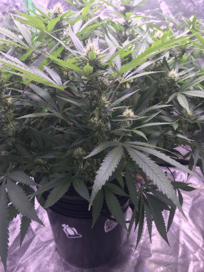 2AF64710-B4C3-49B4-AF59-F55534E169ED