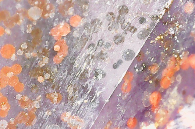 Photo on 2021-07-19 at 6.28 PM #2