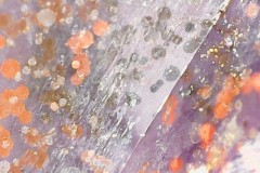 Photo on 2021-07-19 at 6.28 PM #2