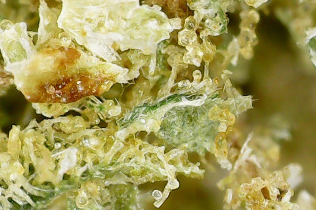 Photo on 2021-07-19 at 6.37 PM