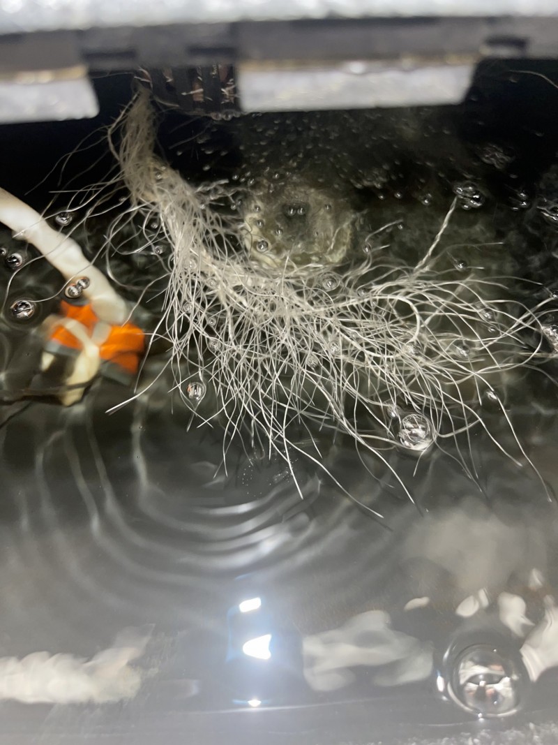 7E7CEA95-438D-49D6-BA49-EC34C1B79DDE