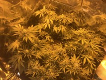 7C6814EF-D6F7-454F-9E0A-57B10AE9F124