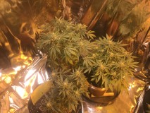 C2197DF0-55A7-42A9-9A87-A33B1EF02685