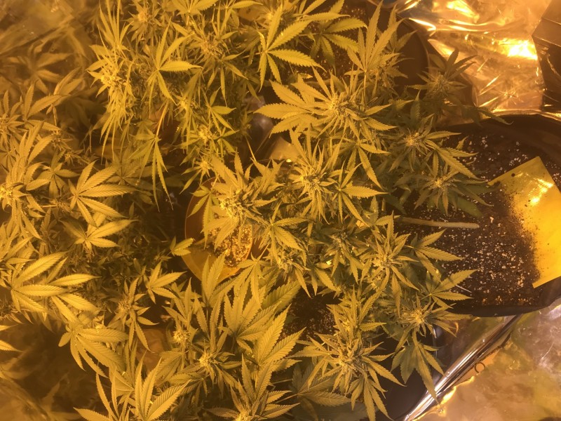 2C44AECD-C3A0-479A-841E-C3B4FC029F89