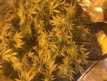 2C44AECD-C3A0-479A-841E-C3B4FC029F89