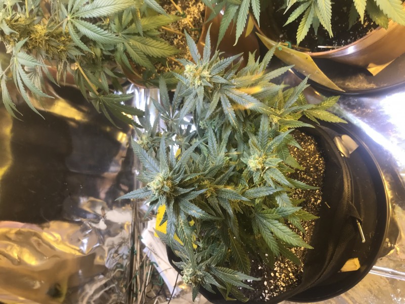 DE19CAE8-6D70-46E2-A601-5985FFF24D2A