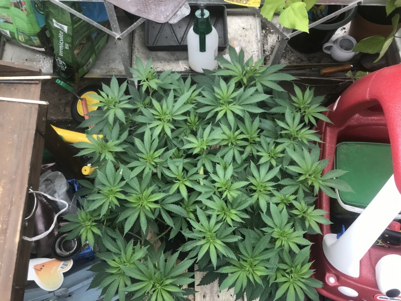 DE03970D-A2E4-45B7-9905-94D5EF97B989