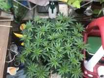 DE03970D-A2E4-45B7-9905-94D5EF97B989