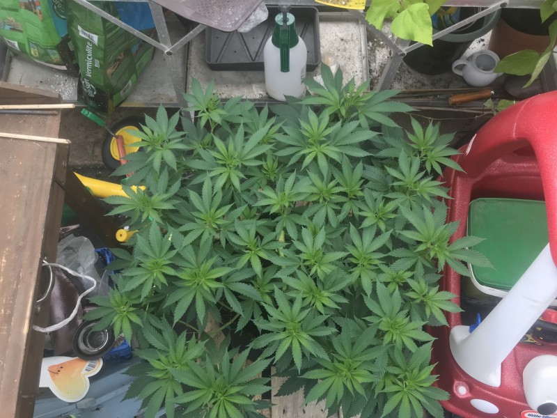 0DAA01D5-29FC-451F-9A9F-11B518E79142