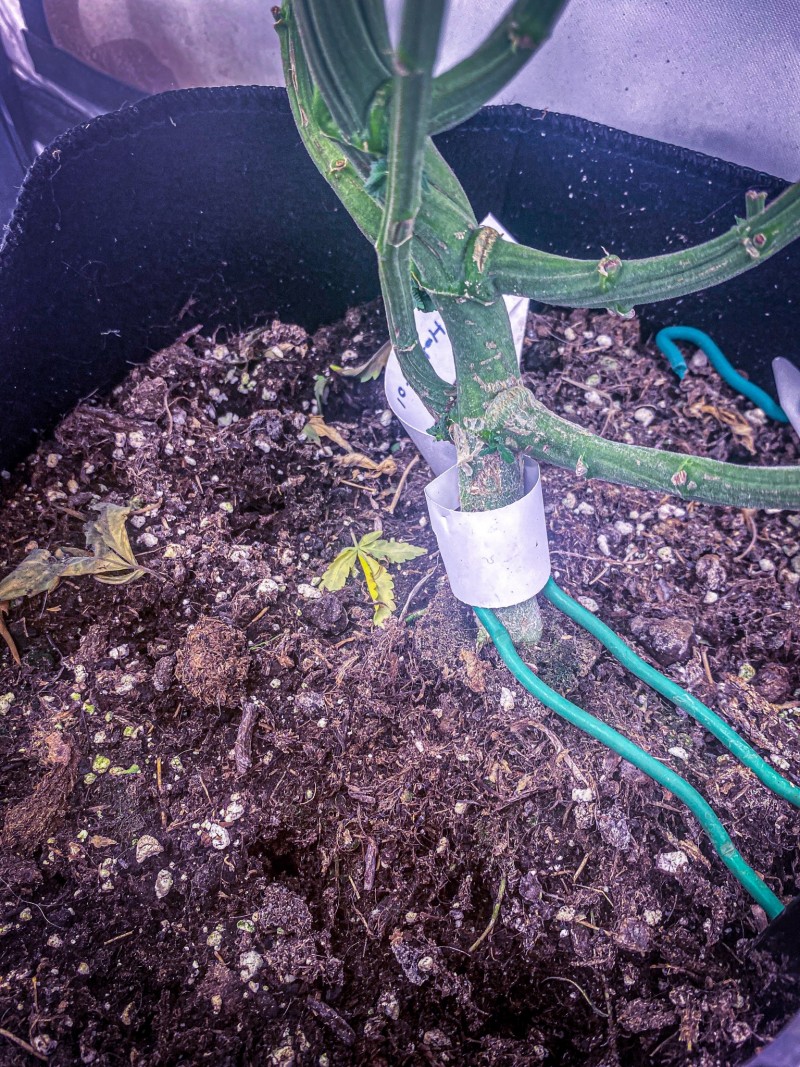 1127E291-6D51-479B-8CF6-092AA8543033