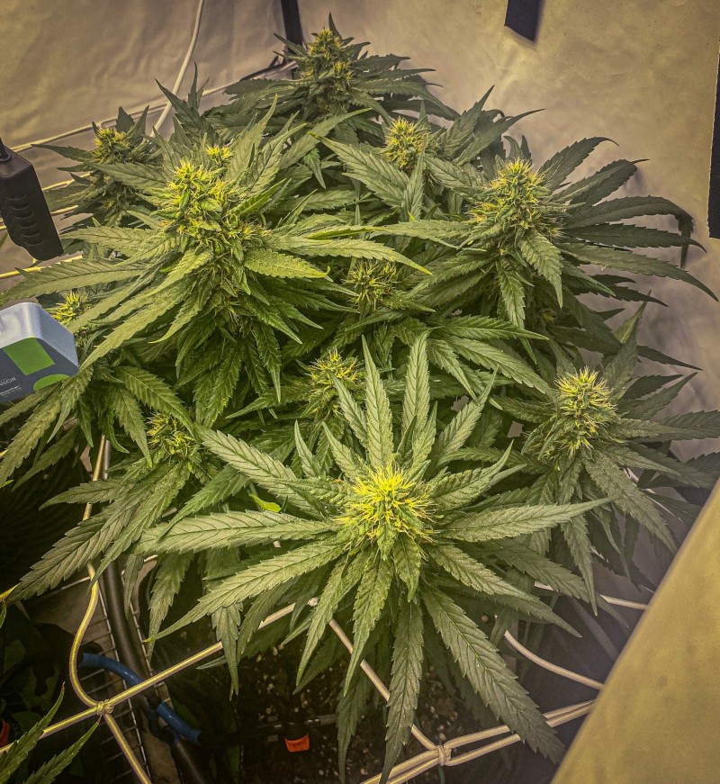 7F58EAF4-E340-45C9-9C56-48A8C6472FC9