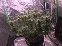 B86070A6-0F8E-4F38-B91A-BC7BC232FE6D