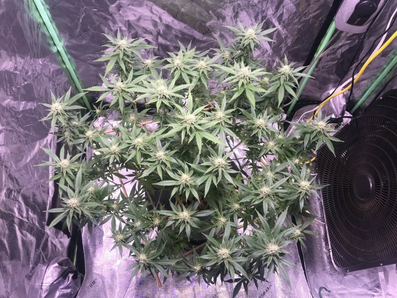 E4B66E10-FDFF-4679-8F22-C35C4BEEA34D