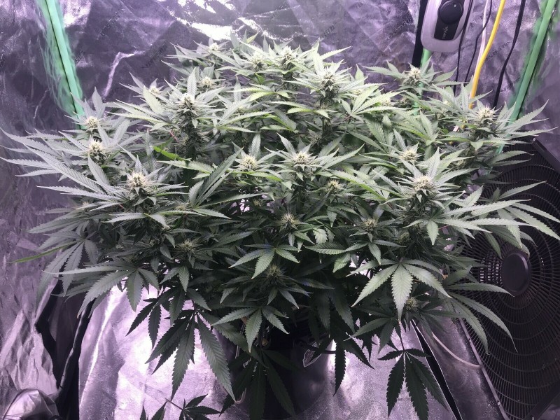 7CDD90B9-D9BE-4992-AF42-0F5CABB09BA2